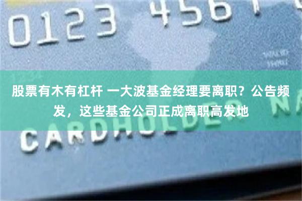 股票有木有杠杆 一大波基金经理要离职？公告频发，这些基金公司正成离职高发地