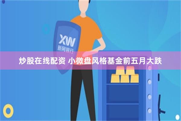 炒股在线配资 小微盘风格基金前五月大跌