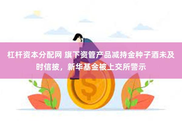 杠杆资本分配网 旗下资管产品减持金种子酒未及时信披，新华基金被上交所警示