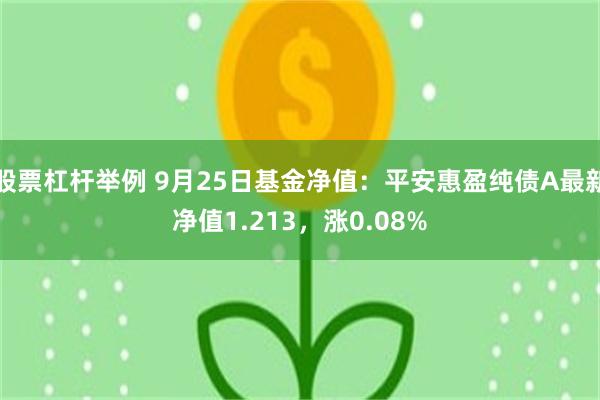 股票杠杆举例 9月25日基金净值：平安惠盈纯债A最新净值1.213，涨0.08%