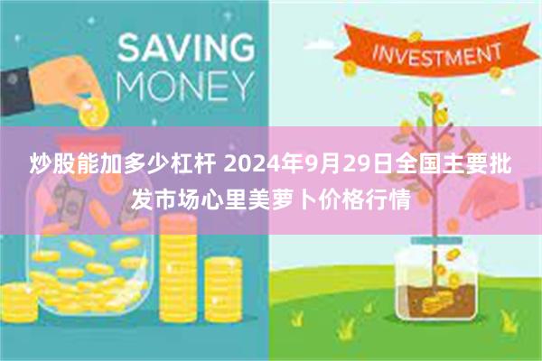 炒股能加多少杠杆 2024年9月29日全国主要批发市场心里美萝卜价格行情