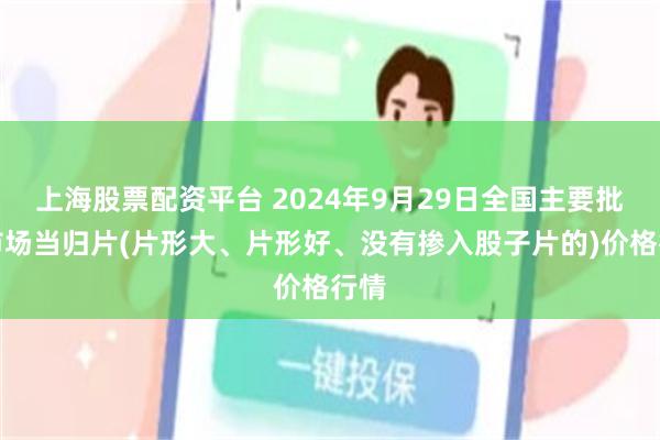 上海股票配资平台 2024年9月29日全国主要批发市场当归片(片形大、片形好、没有掺入股子片的)价格行情