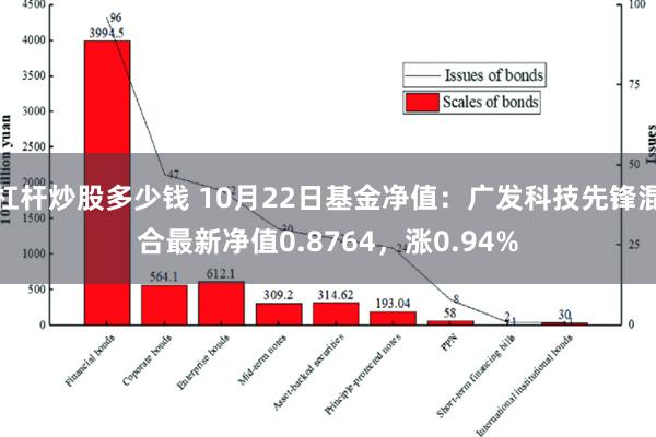 杠杆炒股多少钱 10月22日基金净值：广发科技先锋混合最新净值0.8764，涨0.94%