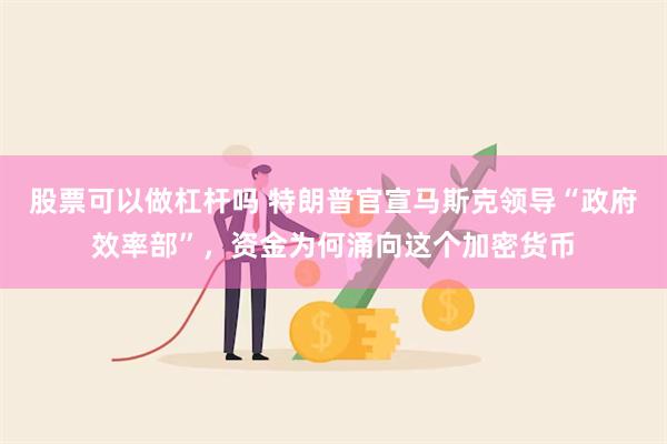 股票可以做杠杆吗 特朗普官宣马斯克领导“政府效率部”，资金为何涌向这个加密货币