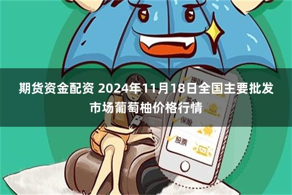 期货资金配资 2024年11月18日全国主要批发市场葡萄柚价格行情