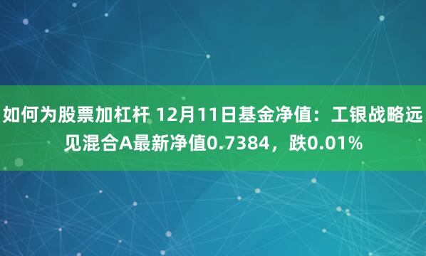 如何为股票加杠杆 12月11日基金净值：工银战略远见混合A最新净值0.7384，跌0.01%