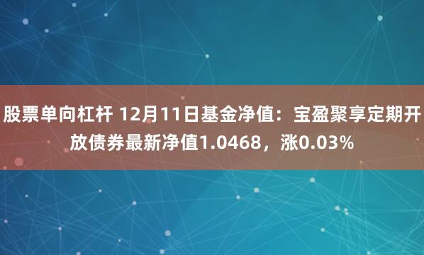 股票单向杠杆 12月11日基金净值：宝盈聚享定期开放债券最新净值1.0468，涨0.03%