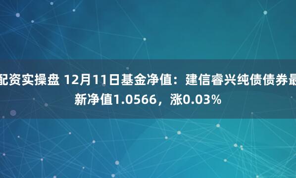 配资实操盘 12月11日基金净值：建信睿兴纯债债券最新净值1.0566，涨0.03%