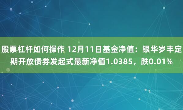 股票杠杆如何操作 12月11日基金净值：银华岁丰定期开放债券发起式最新净值1.0385，跌0.01%