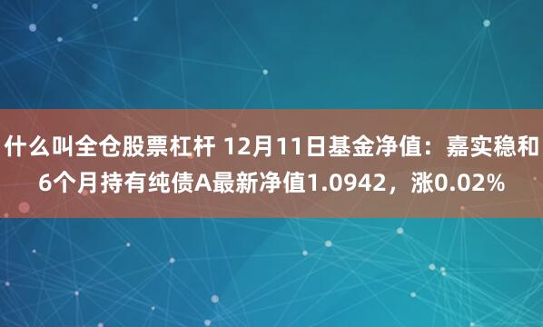 什么叫全仓股票杠杆 12月11日基金净值：嘉实稳和6个月持有纯债A最新净值1.0942，涨0.02%