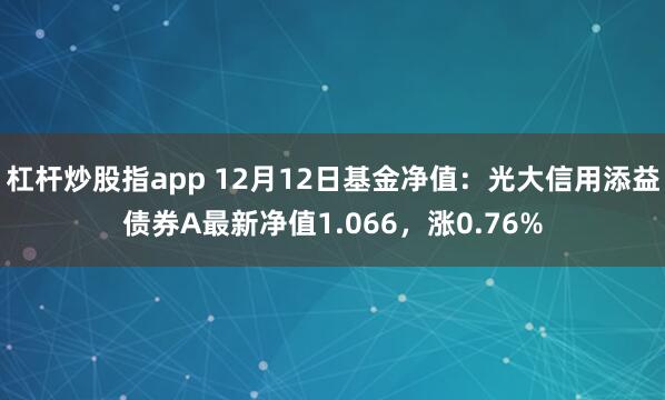 杠杆炒股指app 12月12日基金净值：光大信用添益债券A最新净值1.066，涨0.76%