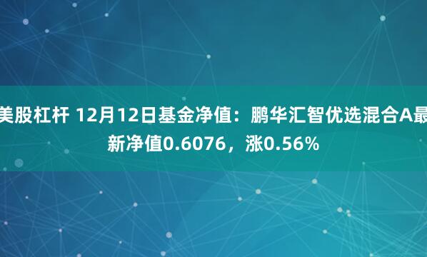 美股杠杆 12月12日基金净值：鹏华汇智优选混合A最新净值0.6076，涨0.56%