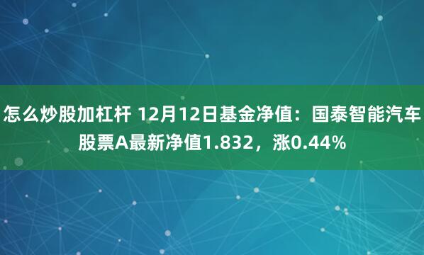 怎么炒股加杠杆 12月12日基金净值：国泰智能汽车股票A最新净值1.832，涨0.44%