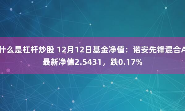 什么是杠杆炒股 12月12日基金净值：诺安先锋混合A最新净值2.5431，跌0.17%