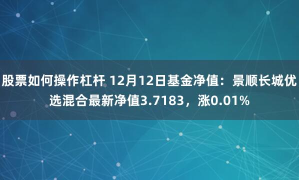 股票如何操作杠杆 12月12日基金净值：景顺长城优选混合最新净值3.7183，涨0.01%