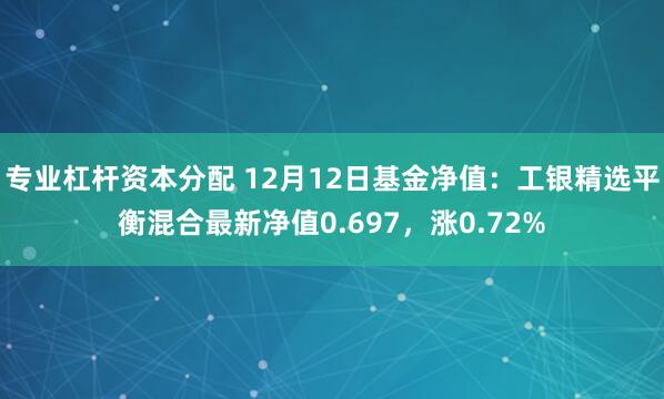 专业杠杆资本分配 12月12日基金净值：工银精选平衡混合最新净值0.697，涨0.72%