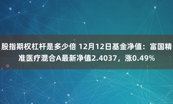 股指期权杠杆是多少倍 12月12日基金净值：富国精准医疗混合A最新净值2.4037，涨0.49%