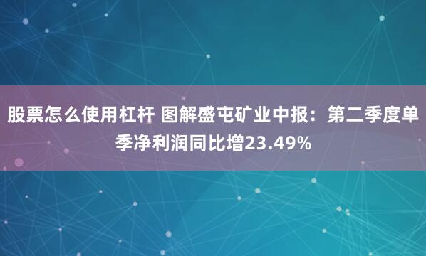 股票怎么使用杠杆 图解盛屯矿业中报：第二季度单季净利润同比增23.49%