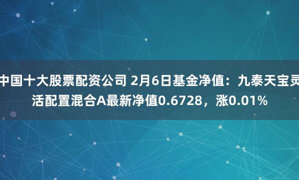 中国十大股票配资公司 2月6日基金净值：九泰天宝灵活配置混合A最新净值0.6728，涨0.01%