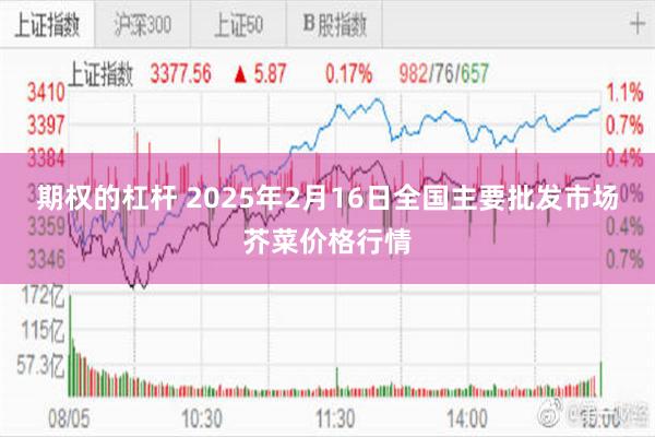 期权的杠杆 2025年2月16日全国主要批发市场芥菜价格行情