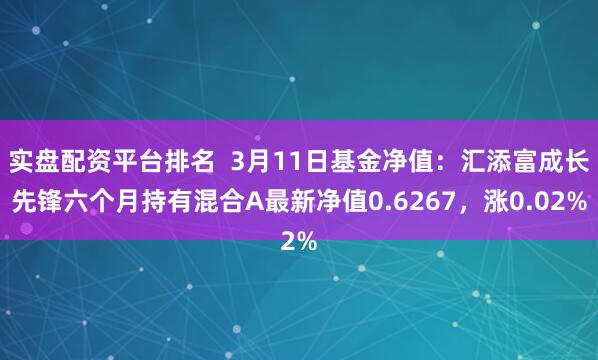 实盘配资平台排名  3月11日基金净值：汇添富成长先锋六个月持有混合A最新净值0.6267，涨0.02%