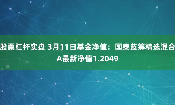 股票杠杆实盘 3月11日基金净值：国泰蓝筹精选混合A最新净值1.2049