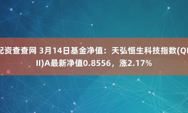 配资查查网 3月14日基金净值：天弘恒生科技指数(QDII)A最新净值0.8556，涨2.17%