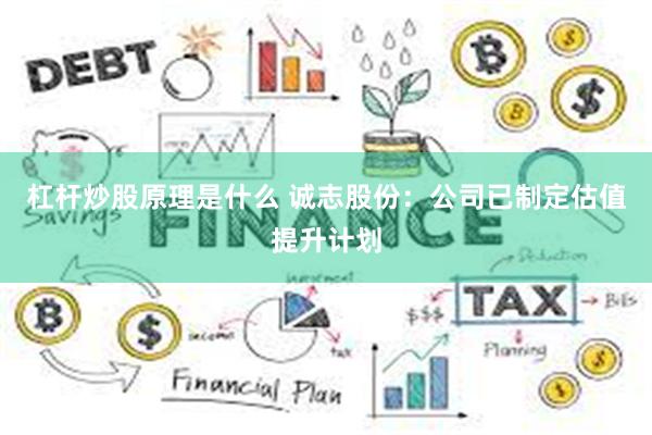 杠杆炒股原理是什么 诚志股份：公司已制定估值提升计划